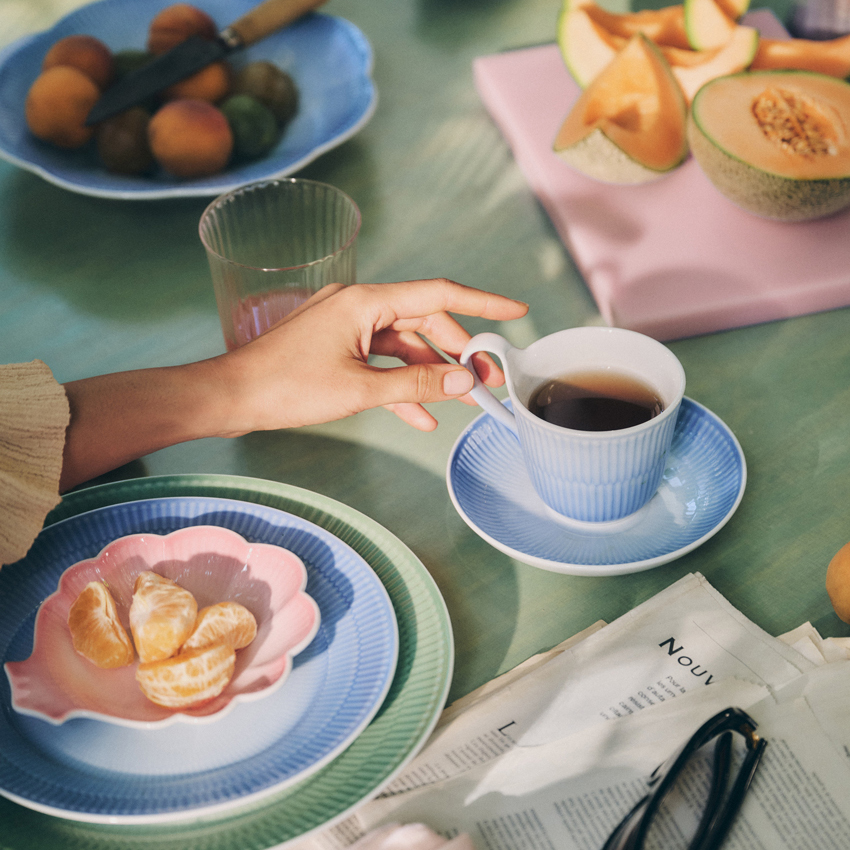 アイリス プレートブルー 22CM