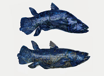 ロイヤル コペンハーゲン　“ブルーフィッシュ”